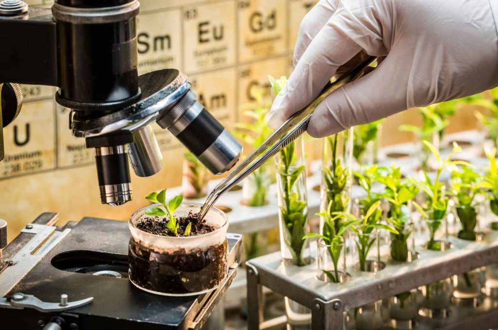 Company Specializing In Software Solutions For Plant Breeding & Variety Testing.